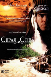 Серая сова 